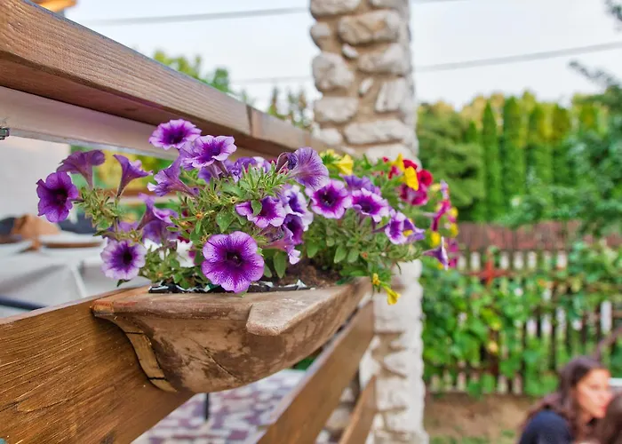 The Weekend House - Zsory בית נופש